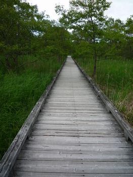 199