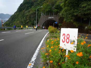 67