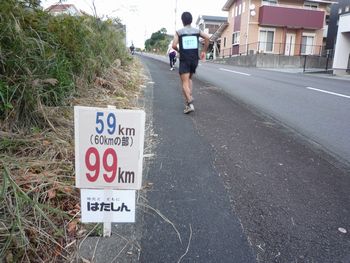 41