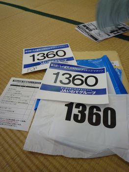 iwateginga10