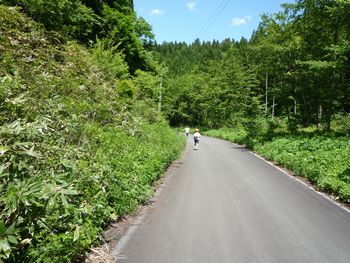 iwateginga132