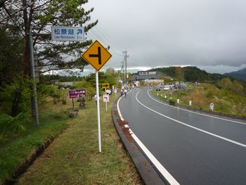 81