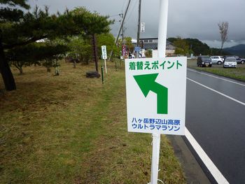 82