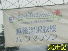 z㓒Hn[t}\