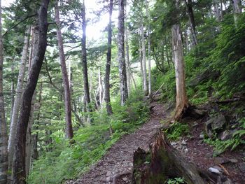 oR20080712_8