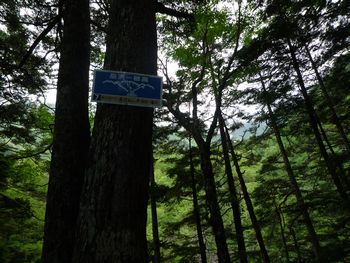 oR20080712_9