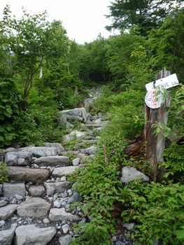 oR20080712_12