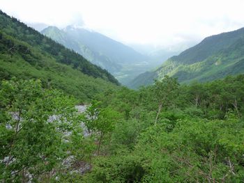 oR20080712_22