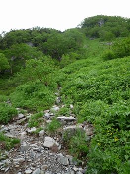 oR20080712_24