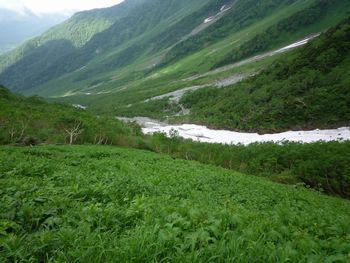 oR20080712_25