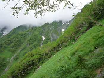 oR20080712_27