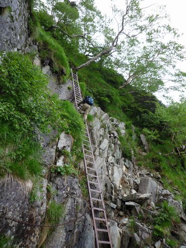 oR20080712_29
