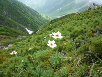 oR20080712_64