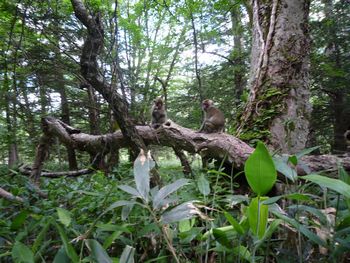 oR20080712_76