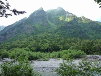 oR20080712_88