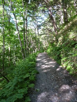 oR20080712_93