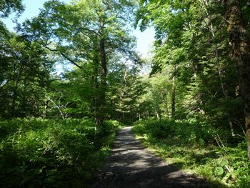 oR20080712_96