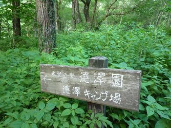 oR20080712_97