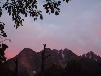 oR20080713_2