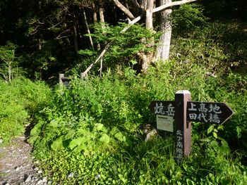 oR20080713_18