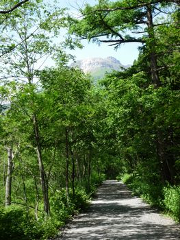 oR20080713_17