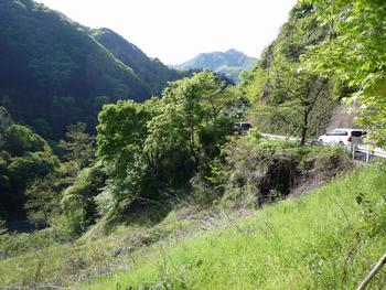 oR20080504_8