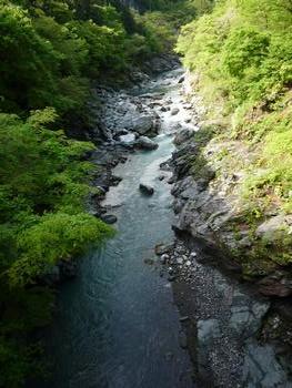 oR20080504_11