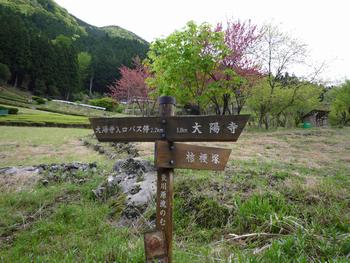oR20080504_13