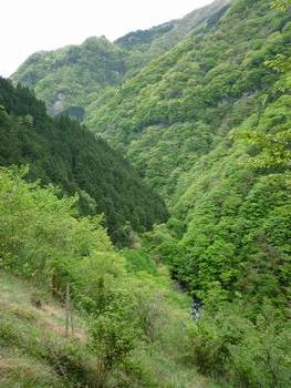 oR20080504_15