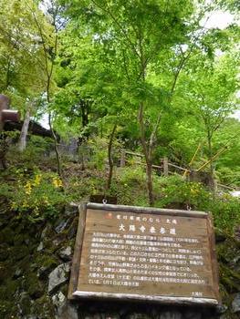 oR20080504_18
