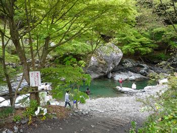 oR20080504_17