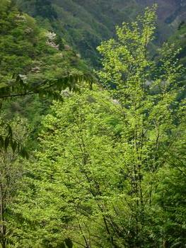 oR20080504_21