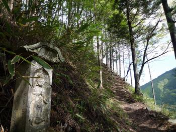 oR20080504_22