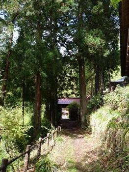oR20080504_23