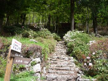 oR20080504_25