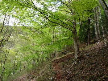 oR20080504_26