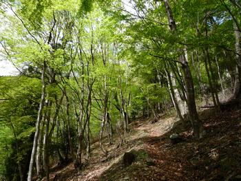 oR20080504_27