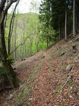 oR20080504_29