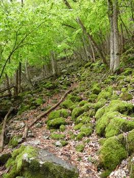 oR20080504_32