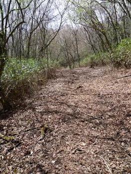 oR20080504_33