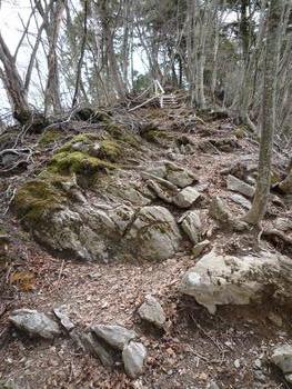oR20080504_43