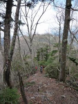 oR20080504_46