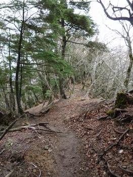 oR20080504_48