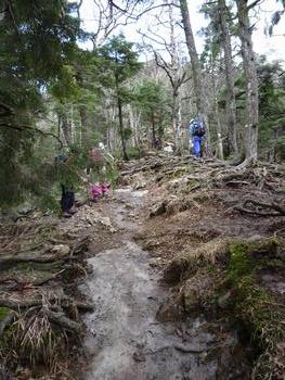 oR20080504_64