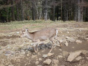 oR20080504_68