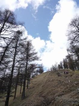 oR20080504_78