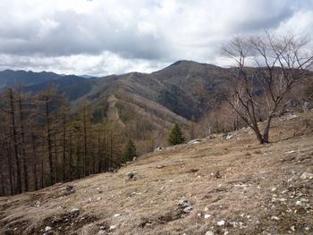 oR20080504_84 g