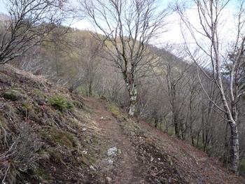 oR20080504_86