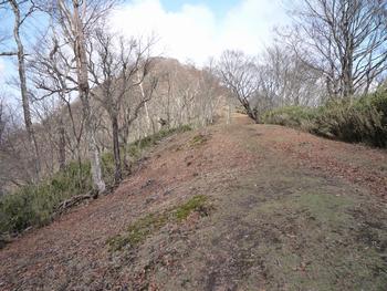 oR20080504_88