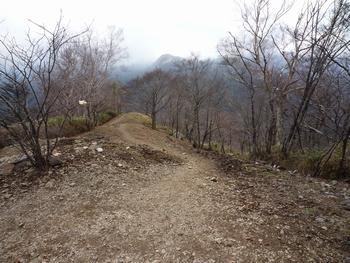 oR20080504_89